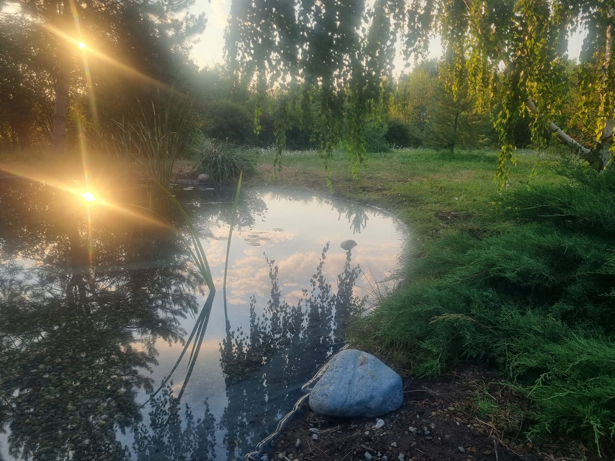 Пруд у бани вместо старого водоёма — фото с объекта