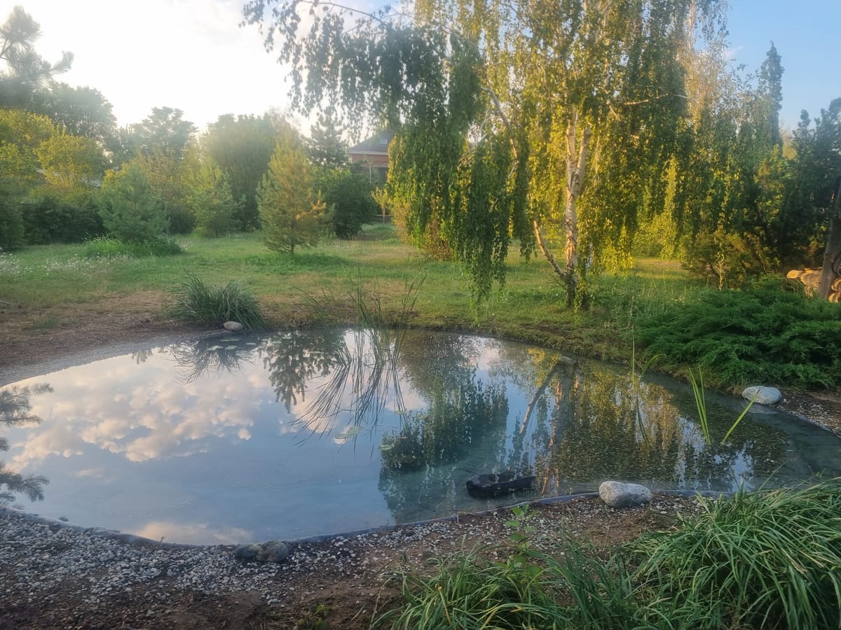 Пруд у бани вместо старого водоёма — фото с объекта